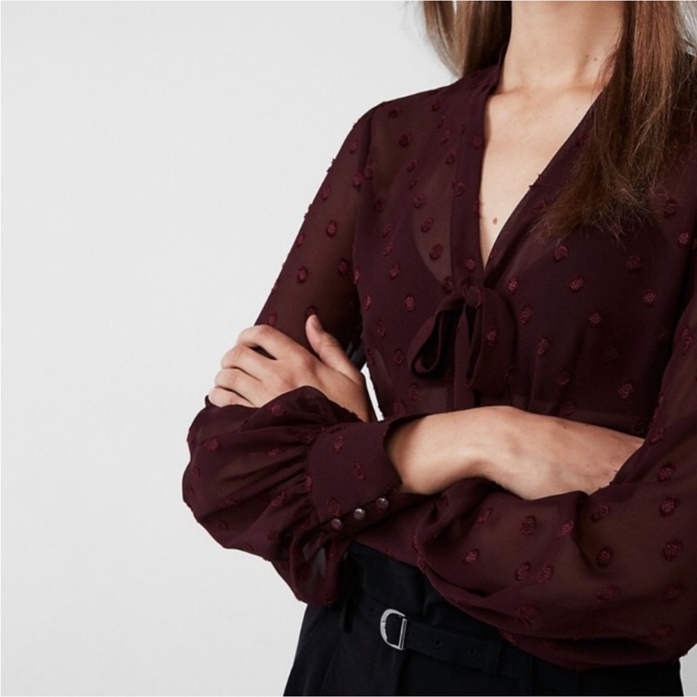 Express Sheer Button Down Tie Neck Medallion Shirt | Women’s Small | Berry Color